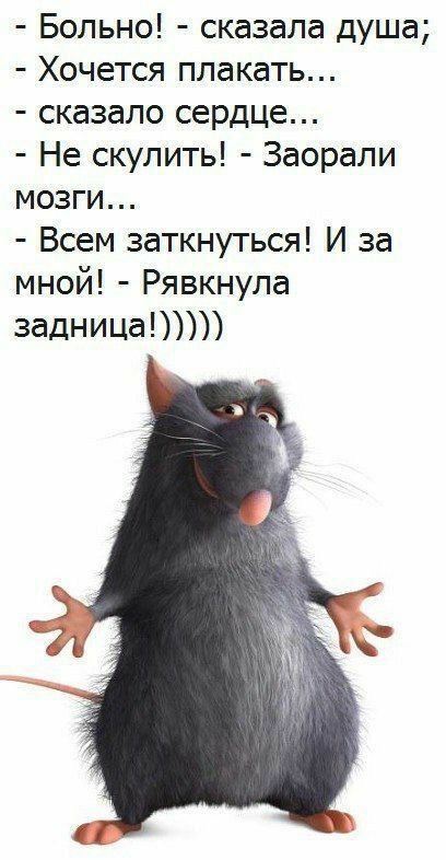 Больно сказала душа Хочется плакать сказало сердце Не скулить Заорапи мозги Всем заткнуться И за мной Рявкнупа задницаЮ