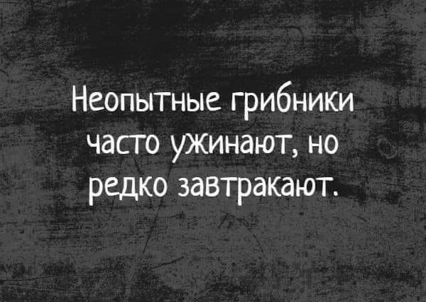 Неопытные грибники часго ужинатт но редко завтракают