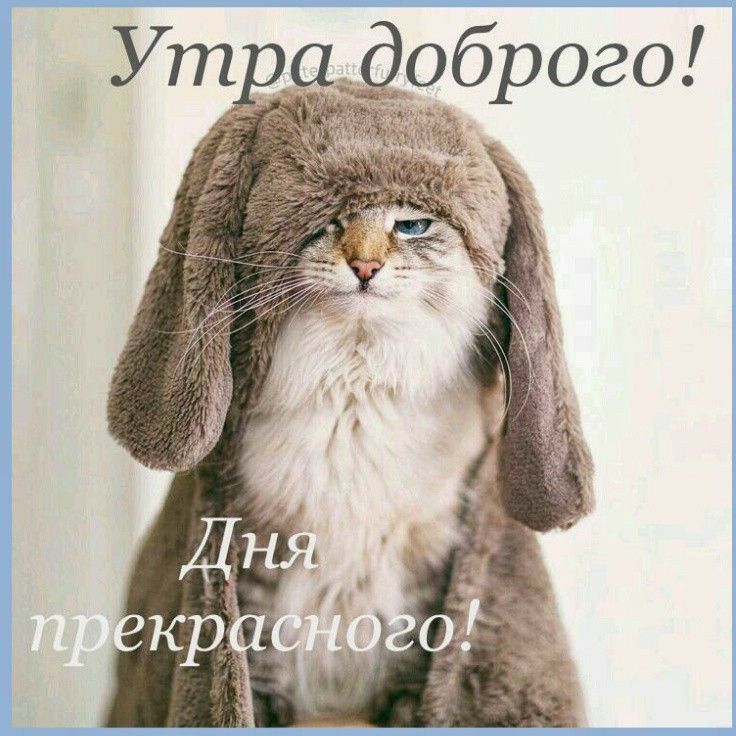 У с адоброго
