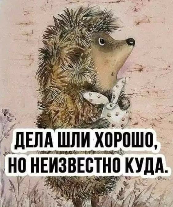 дЕпАшли хорошо т трёттчъ Н9 НЕИЗВЕСТНП КУДА