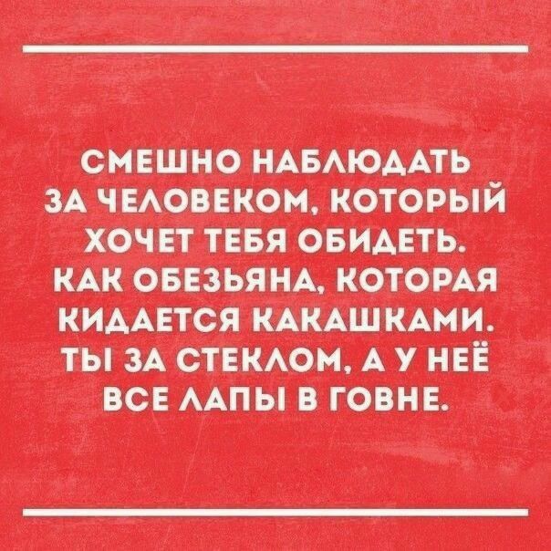 ж и шамп ці яиц пт