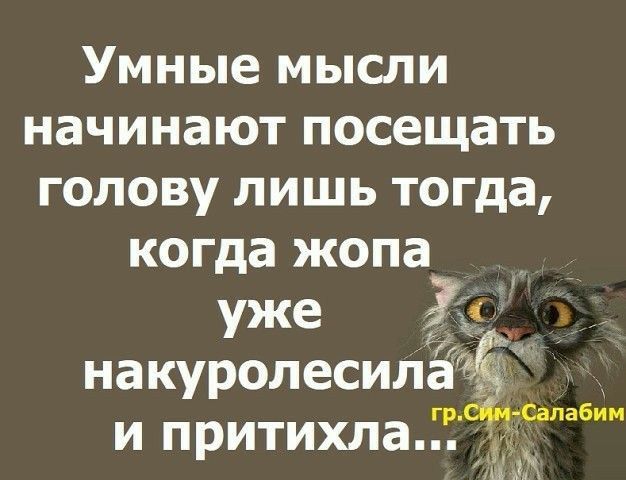 Умные мысли начинают посещать голову лишь тогда когда жопа уже накуролесида гр Сапабим притихла