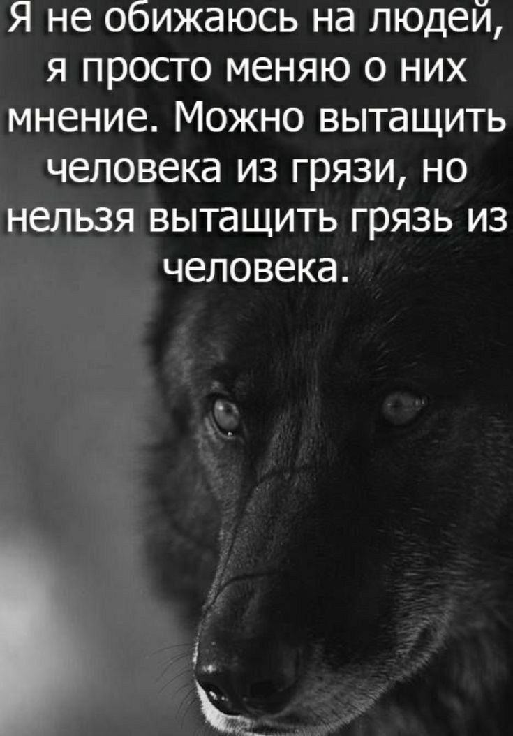Я не обижаюсь на людей я просто меняю о них мнение Можно вытащить человека из грязи но нельзя вытащить грязь из человека