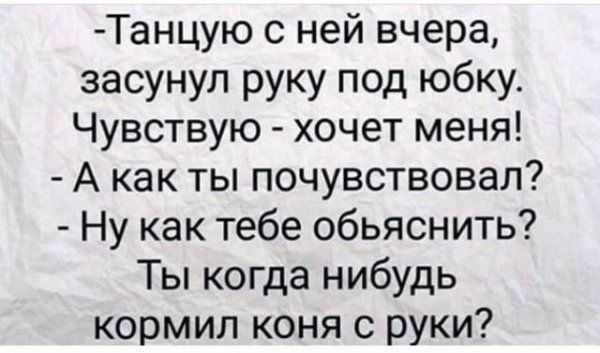 Танцую с ней вчера засунул руку под юбку Чувствую хочет меня А как ты почувствовал Ну как тебе обьяснить Ты когда нибудь кормил коня с руки