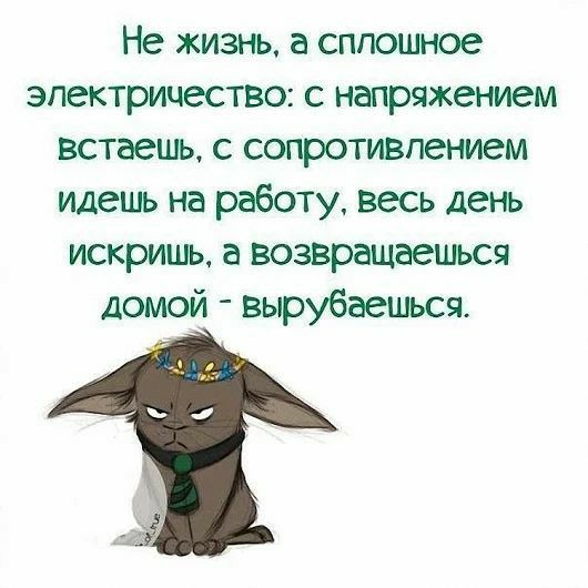 Не жизнь а сплошное электричество с напряжением встаешь с сопротивлением идешь на работу весь день искришь а возвращаешься Домой вырубаешься