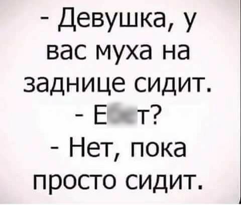 девушка, у вас муха на заднице сидит.  Вёат?  Нет, пока просто сидит.