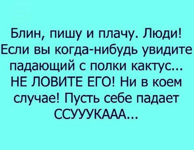 Блин, пишу и плачу. Люди! Если вы когданибудь увидите падающий с полки кактус... Не ловите его! Ни в коем случае! Пусть себе падает ссууукааа...