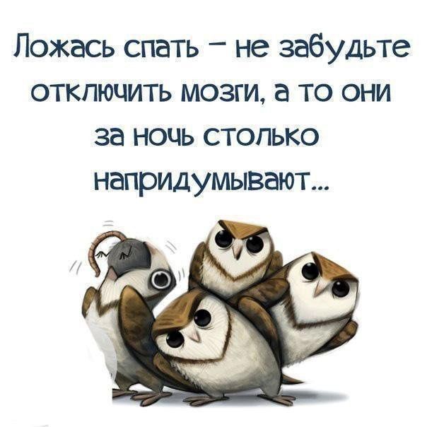Ложась спать не забудьте отключить мозги а то они за ночь столько напридумывают