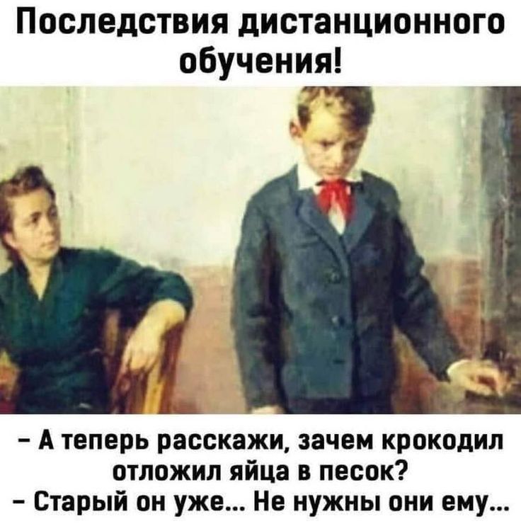 Последствия дистанционного обучения А теперь расскажи зачем крокодил отложил яйца в песок Старый он уже Не нужны они ему