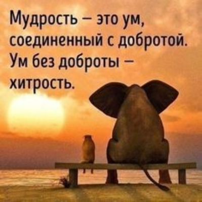Мудрость это ум соединенный с добротой Ум без доброты хитрость