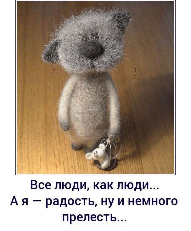 Все люди как люди А я радость ну и немного прелесть