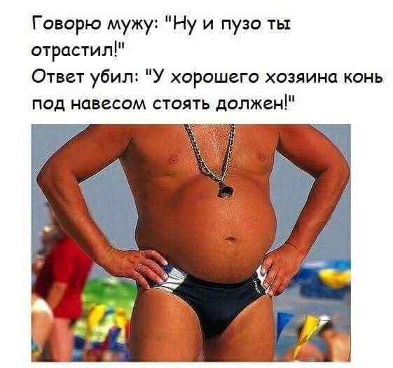 Говорю мужу Ну и пузо ть1 отрастил Ответ убил У хорошего хозяина конь под навесом стоять должен