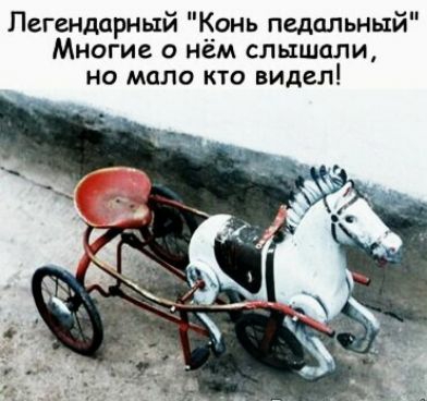 Легендарный __онь педильныи Многие о нем слышали но мало кто видел