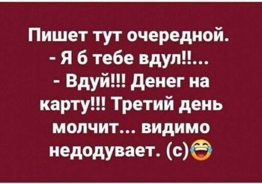 Пишет тут очередной Я б тебе вдуп Вдуй денег на карту Третий день молчит видимо недодувает с