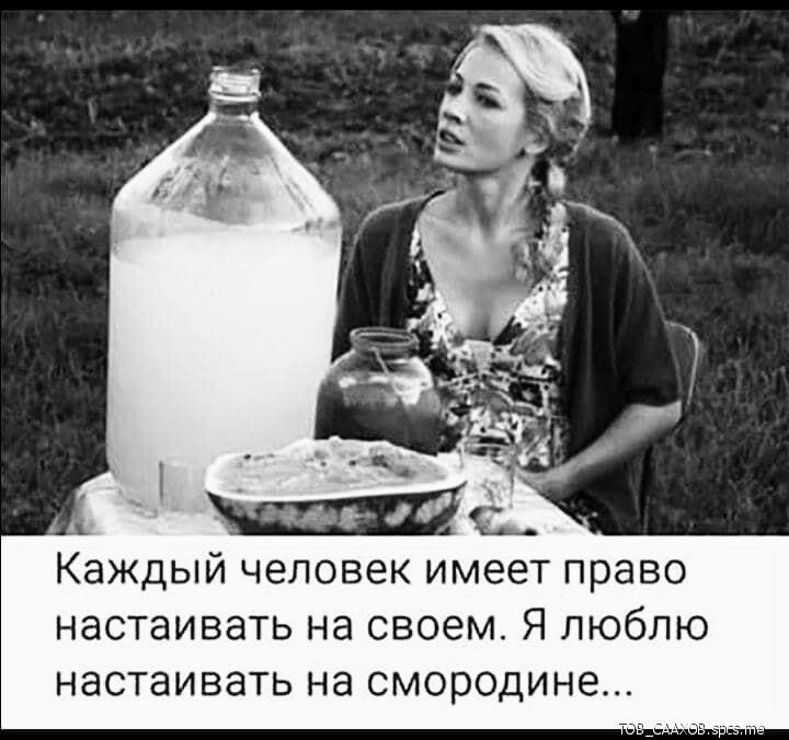 Каждый человек имеет право настаивать на своем Я люблю настаивать на смородине