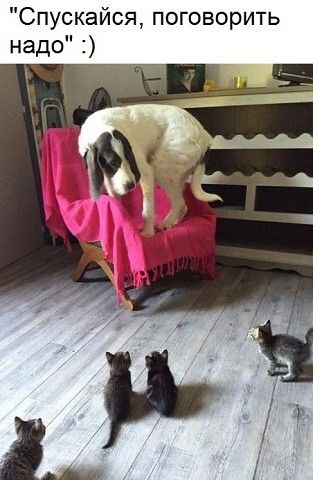 Спускайся поговорить