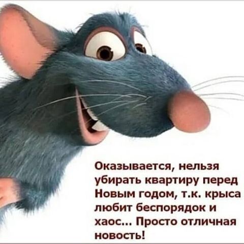 Оказывается нельзя убирать квартиру перед Новым годом тк крыса любит беспорядок и хаос Просто отличная новость