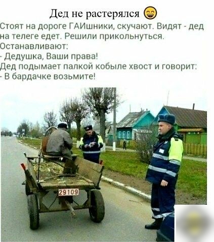 Дед не растерялся Стоят на дороге ГАИшники скучают Видят дед на телеге Едет Решили прикольнуться Осшнавпивают Дедушка Ваши права Дед подымает папкой кобыле хвост и говорит в бардачке возьмите