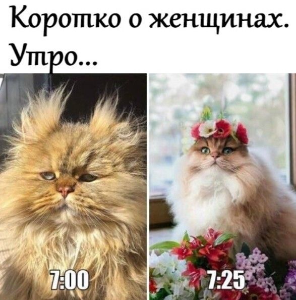 Коротко о женщинах Ут о