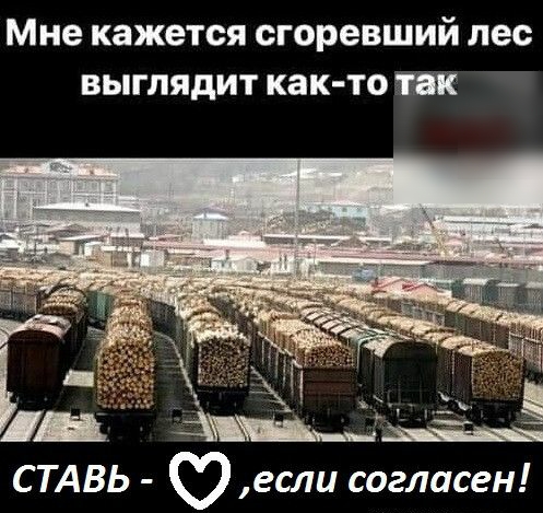 Мне кажется сгоревший лес выглядит как то Ъ СТАВЬ О если согласен