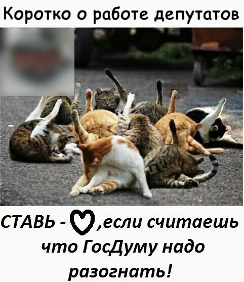 Коротко о работе депутатов СТАВЬ Оесли считаешь что Г осДуму надо разогнать