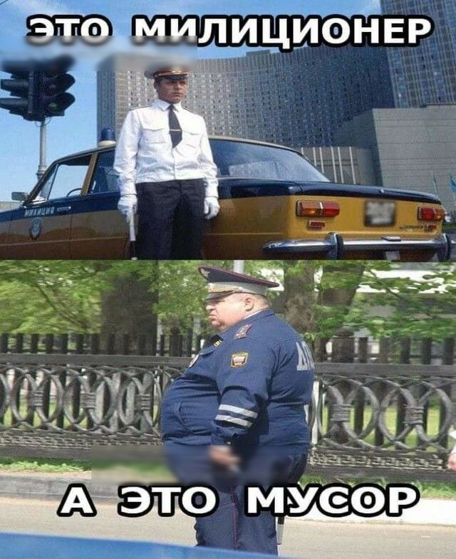 Ёж _3 1 УСЭР54