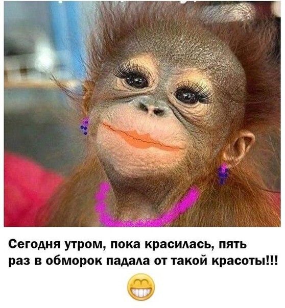 Сегодня утром пока красилась пять раз в обморок падала от такой красоты 0
