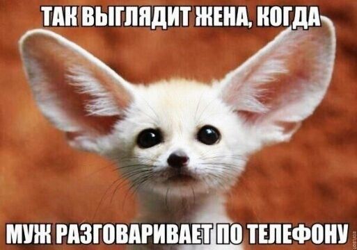 ПШ ВЫШПДИТ ЖЕНА МДА МУШ РАЗЮВАРИВАШ0 ТШЕФШШ