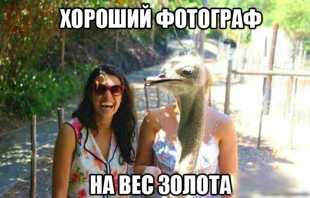 0 хогвший _діі приф