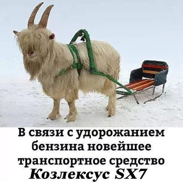 в связи с удорожанием бензина новейшее транспортное СРЕДСТВО Козлексус ЗХ 7