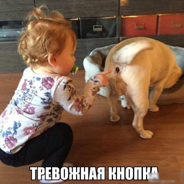 тшожндя ннопш