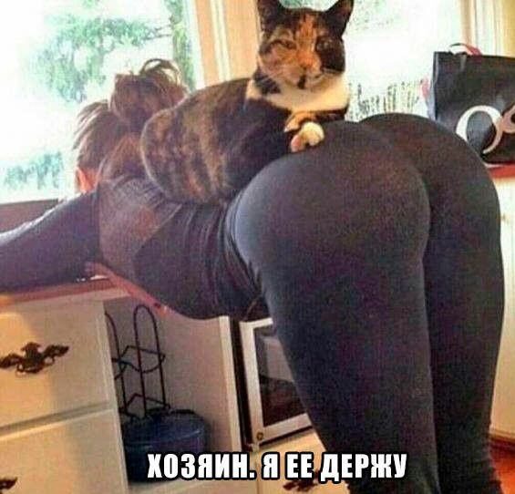 А Ё ЕЕ ЦЕРН