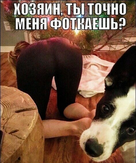 ишзншнл тцчно мыфіщёдвшьэ ш АМЗ в Ж Ё У Ю