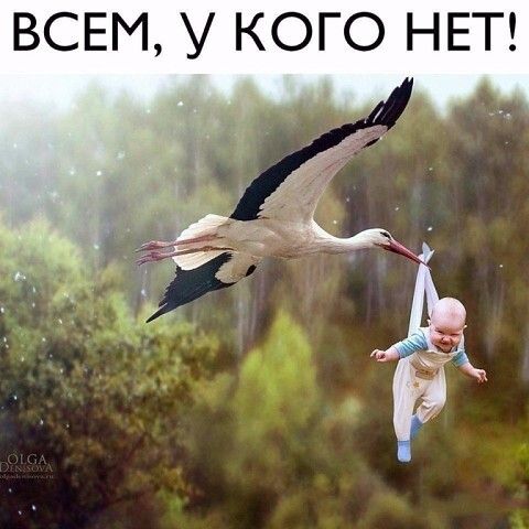 ВСЕМ У КОГО НЕТ