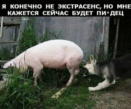 Я КОНЕЧНО НЁ ЭКСТРАСЕНДНО МНЕ КАЖЕТСЯ СЕИЧАС БУДЕТ ПИдЕЦ и _ Ч