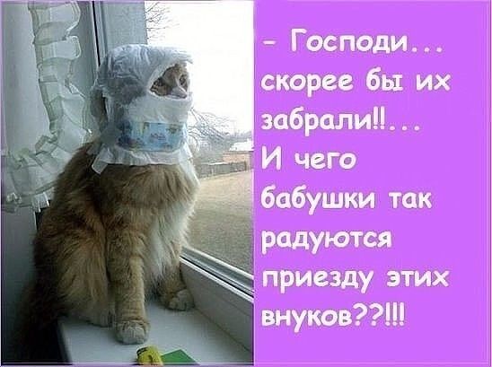 Господи скорее бы их забралиМ И чет бабушки так _ радуются приезду этих внуков