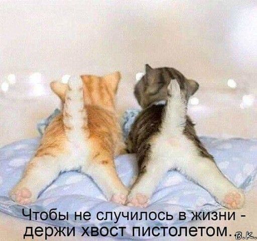 ане сл чилось ёжтни дер 0 пИЁгбпетом