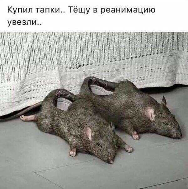 Купил т ки Т у в реанимацию увезли