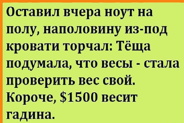 Оставил вчера ноут на полу наполовину из под кровати торчал Тёща подумала что весы стала проверить вес свой Короче 1500 весит гадина