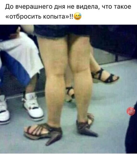 ДО вчерашнего ДНЯ не видела ЧТО такое отбросить копыта