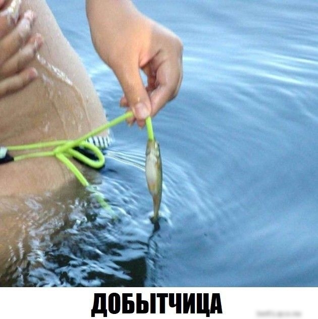 дПБЫТЧИЦд