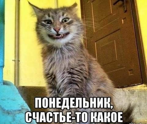 СЧАСТЬЕ П ШПЮЕ