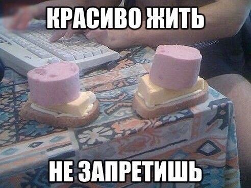 л 1 НМВИВП ЖИТЬ __ _