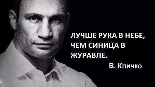 ЛУЧШЕ РУКА в НЕБЕ ЧЕМ синицд в ЖУРАВЛЕ В Кличко