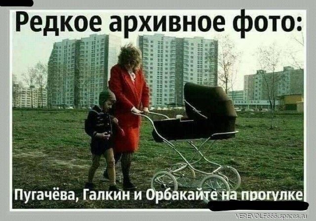 37 дм Пугачева Галкин и орбакайте прогулке