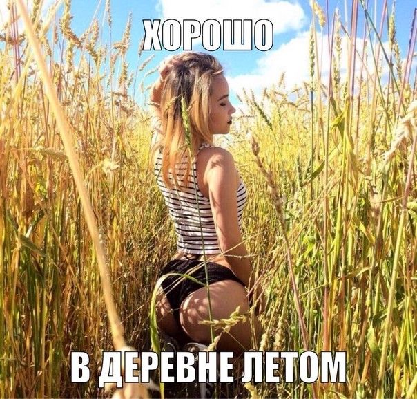 71 вдгввъвнъл в