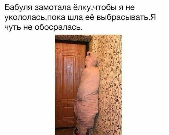 Бабуля замотала ёлкучтобы я не укололасьлока шла её выбрасыватья чуть не обосралась