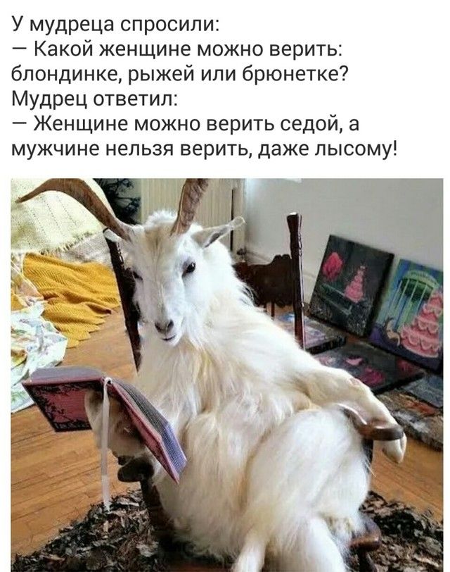 У мудреца спросили Какой женщине можно верить блондинке рыжей или брюнетке Мудрец ответил Женщине можно верить седой а мужчине нельзя верить даже лысому