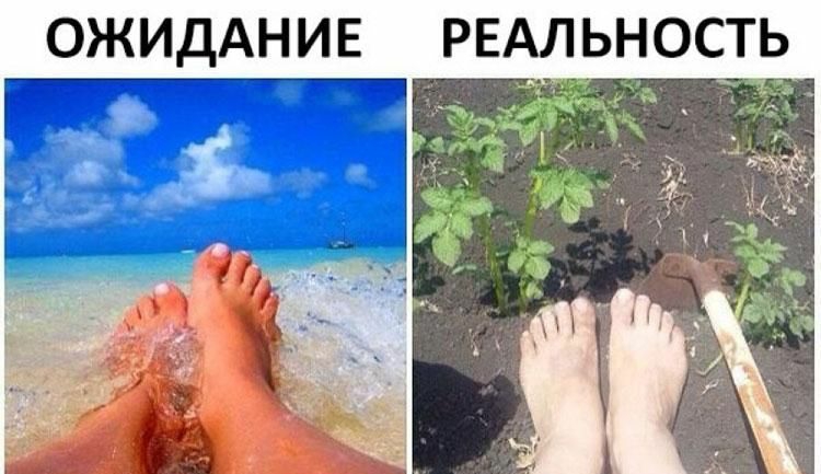 ОЖИДАНИЕ РЕАЛЬНОСТЬ