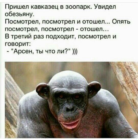 Пришел кавказец в зоопарк Увидел обезьяну Посмотрел посмотрел и отошел Опять посмотрел посмотрел ОТОШеП В третий раз подходит посмотрел и говорит Арсен ты что ли